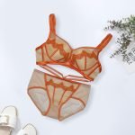 Net & Embroided Pushup Bra Set – Elegant & Breathable Bra's in Pakistan - Image 3